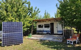Home Shanti, Relax Tra I Ciliegi